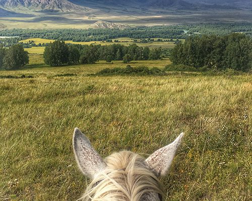 carte-postale-kazakhstan-trek-cheval-2 carte-postale-kazakhstan-trek-cheval-2