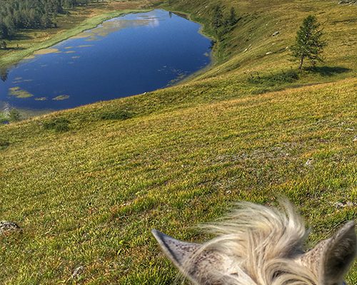 carte-postale-kazakhstan-trek-cheval-3 carte-postale-kazakhstan-trek-cheval-3