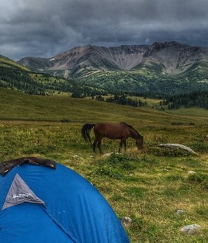 carte-postale-kazakhstan-trek-cheval