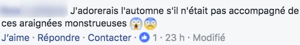 commentaire areignees