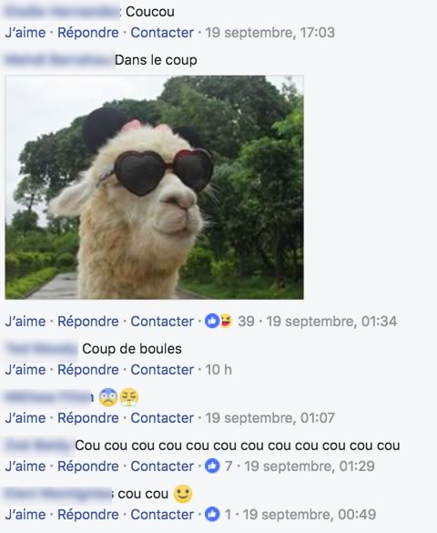 commentaire cou