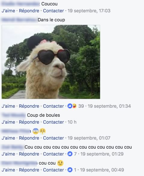 commentaire cou commentaire cou