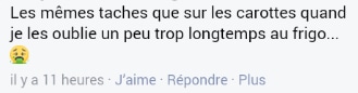 commentaire scoobydoo