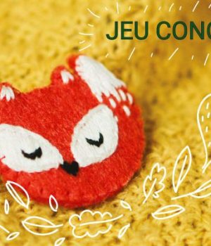 concours-broches-renard-box-madmoizelle