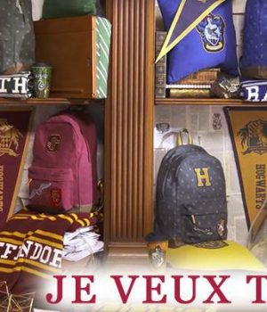 goodies-harry-potter-shopping