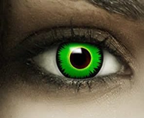 lentilles-serpentard lentilles-serpentard