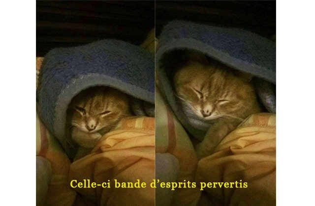 Soquette Soquette