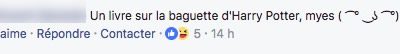 baguette harry potter baguette harry potter