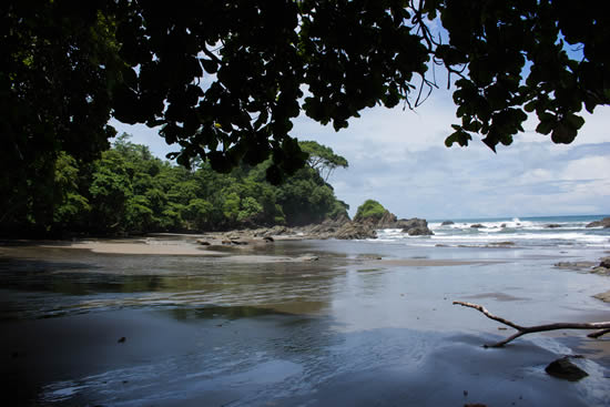costa-rica-plage-foret