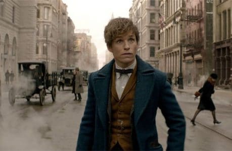 newt-scamander newt-scamander