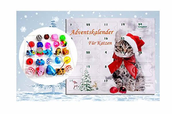 calendrier-chat