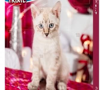 calendrier de l’avent calendrier de l’avent