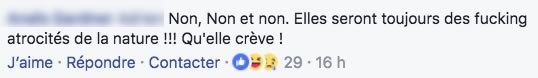 commentaire areignee