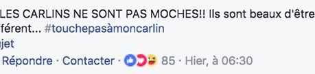commentaire carlin commentaire carlin