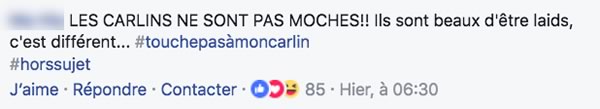 commentaire carlin
