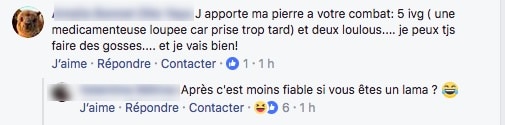 commentaire lama