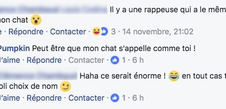 commentaire rappeuse pumpkin commentaire rappeuse pumpkin