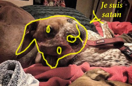 comprendre trompe loeil comprendre trompe loeil