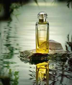 parfums-homme