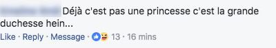 commentaire duchesse commentaire duchesse