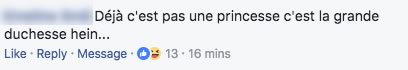 commentaire duchesse