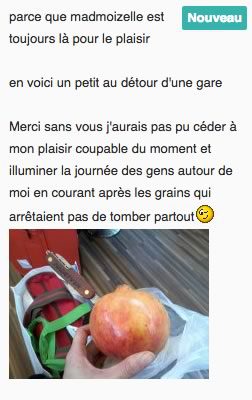 commentaire grenade