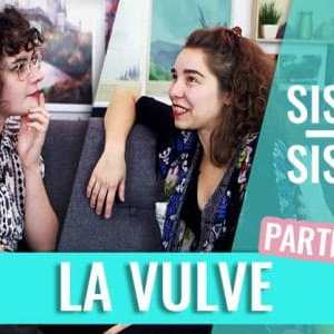 sister-sister-vulve-miroir