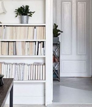 decoration-minimaliste-bibliotheque