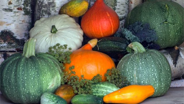 fruits-legumes-saison-janvier