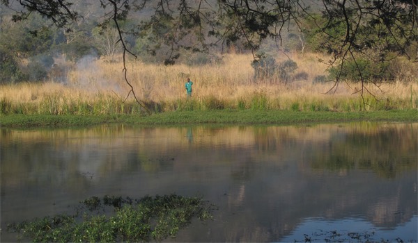 Savane afrique du sud