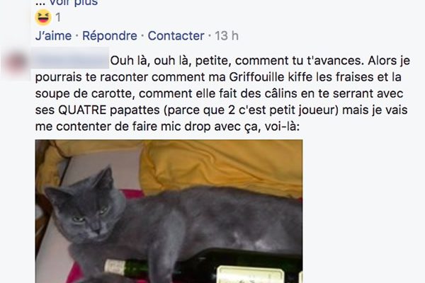 com-chatte com-chatte