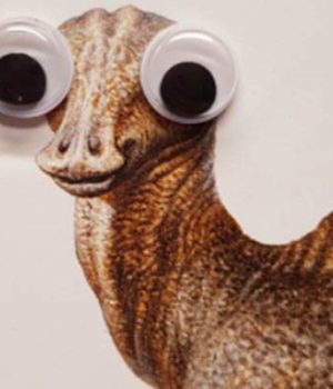 dinosaures-googly-eyes