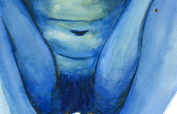 vulve-asexualite vulve-asexualite