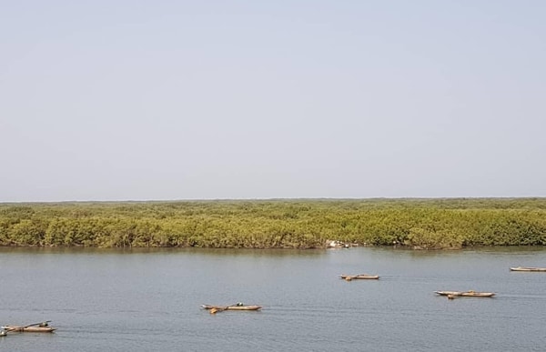 Fleuve Casamance