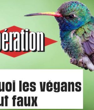 reponse-tribune-liberation-vegans
