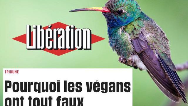 reponse-tribune-liberation-vegans