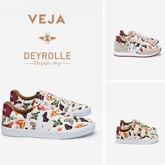 veja et deyrolle modèles baskets