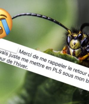 best-of-commentaires-semaine-43
