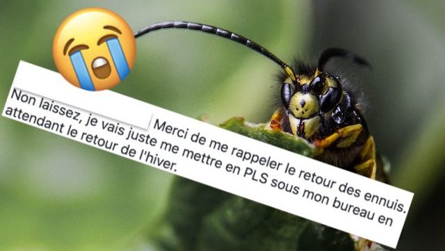 best-of-commentaires-semaine-43