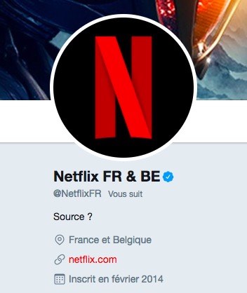 bio-netflix-twitter