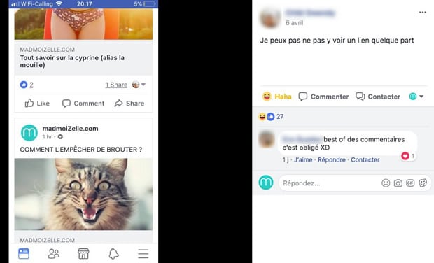 com-chat-cyprine com-chat-cyprine