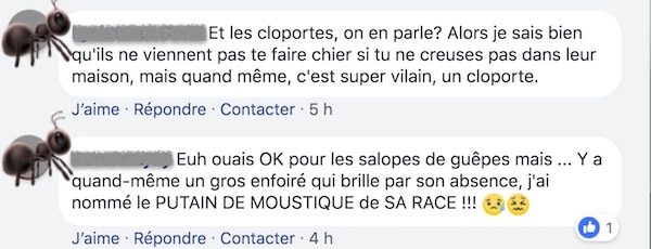 commentaire 3 commentaire 3