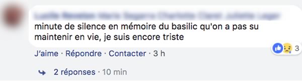 commentaire-basilic commentaire-basilic