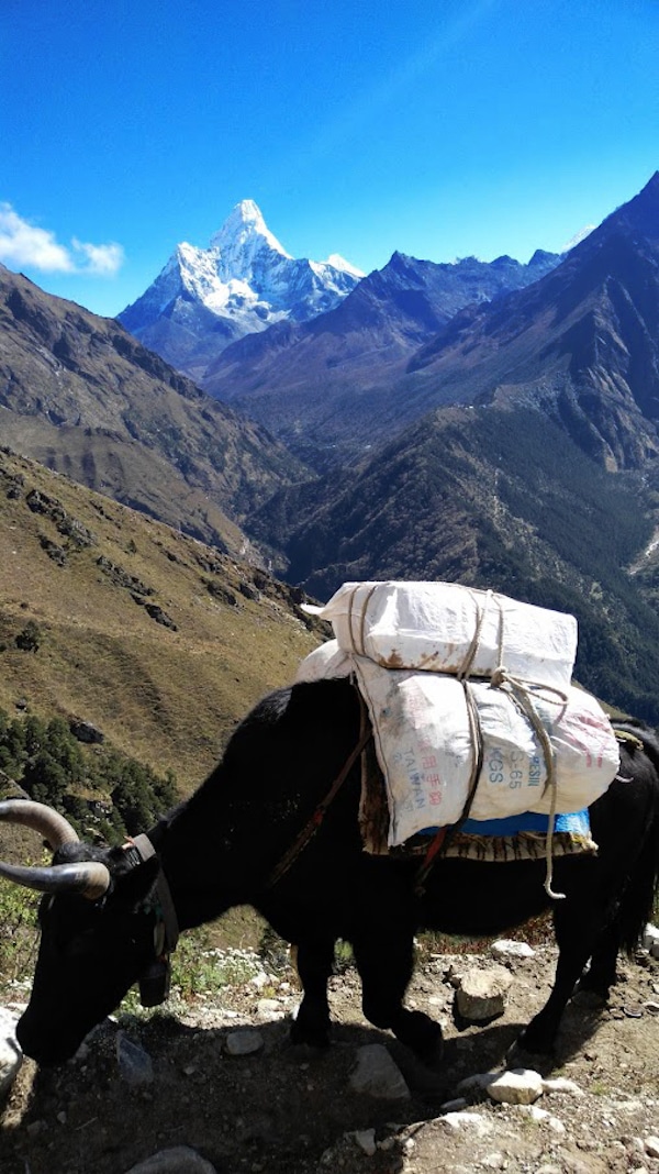 everest1 everest1