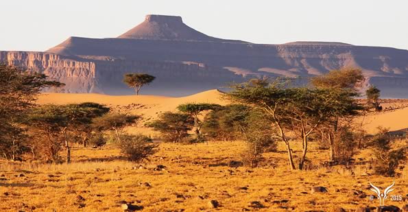 Traverser de tels paysages donnent surtout envie de les préserver (crédit: Rallye Aïcha des Gazelles)