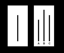 test-psychologique-lignes