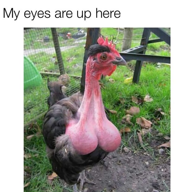 090703 090703