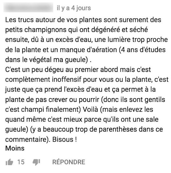 com champignons com champignons