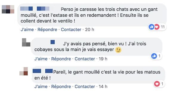 com chaton chaud com chaton chaud