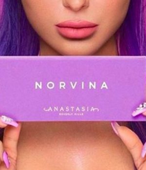 palette-norvina-anastasia-beverly-hills